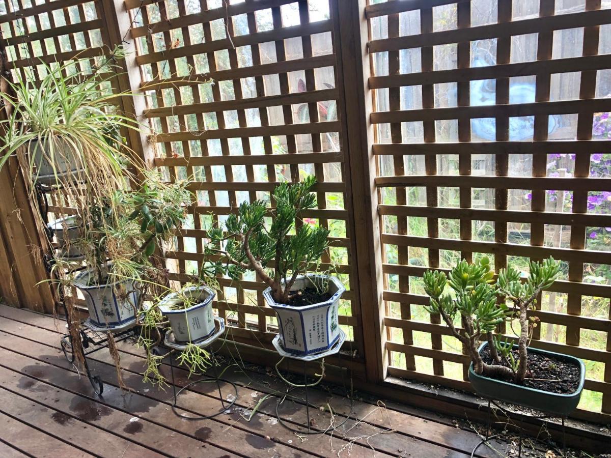 Golden House Apartment Springvale Ngoại thất bức ảnh
